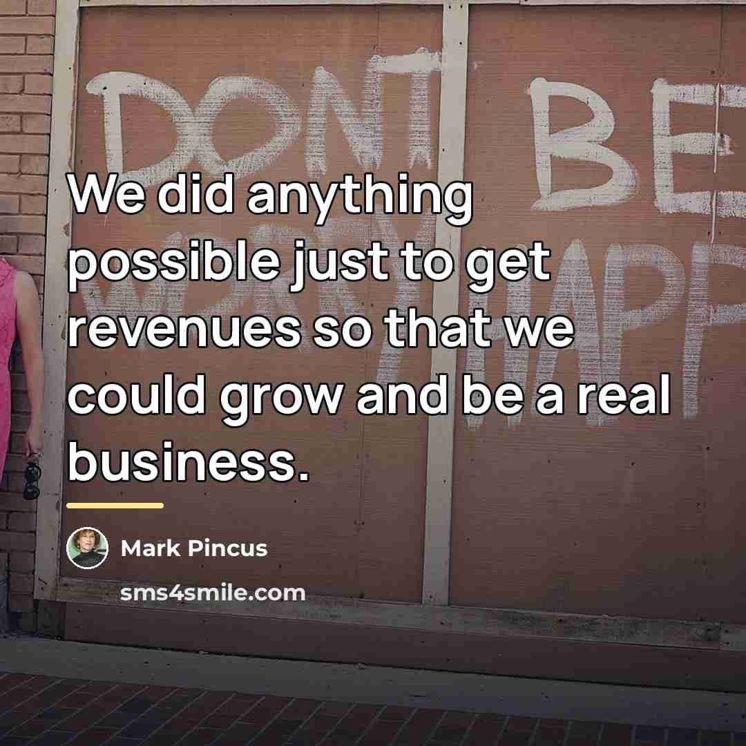 “We did anything possible just to get revenues so that…” quote by Mark Pincus
