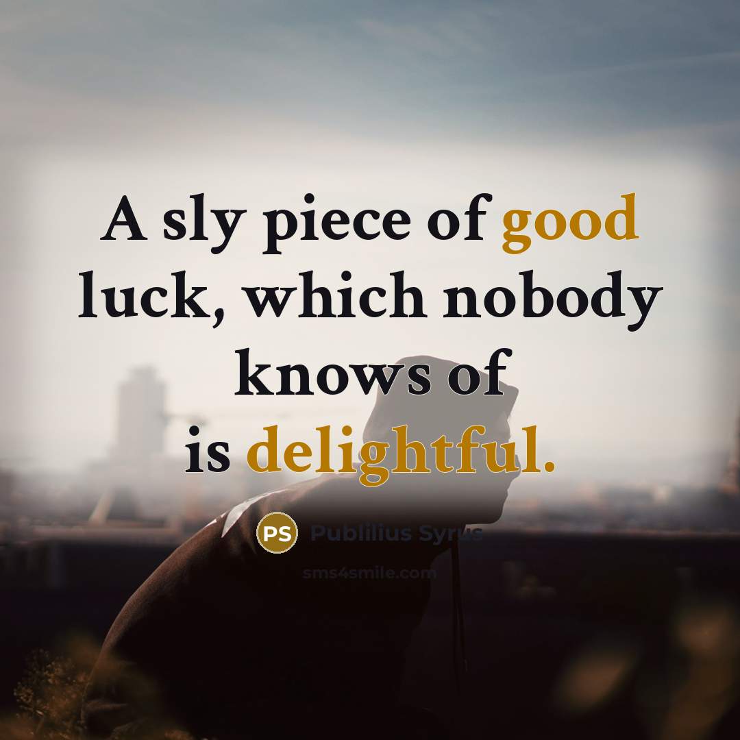 “A sly piece of good luck, which nobody knows of…” quote by Publilius Syrus