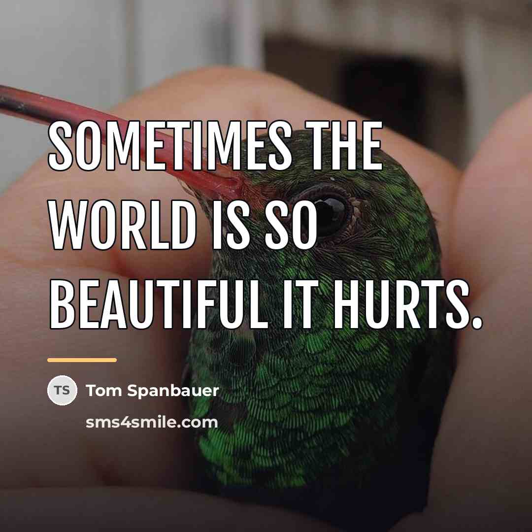 “Sometimes the world is so beautiful it hurts.…” quote by Tom Spanbauer