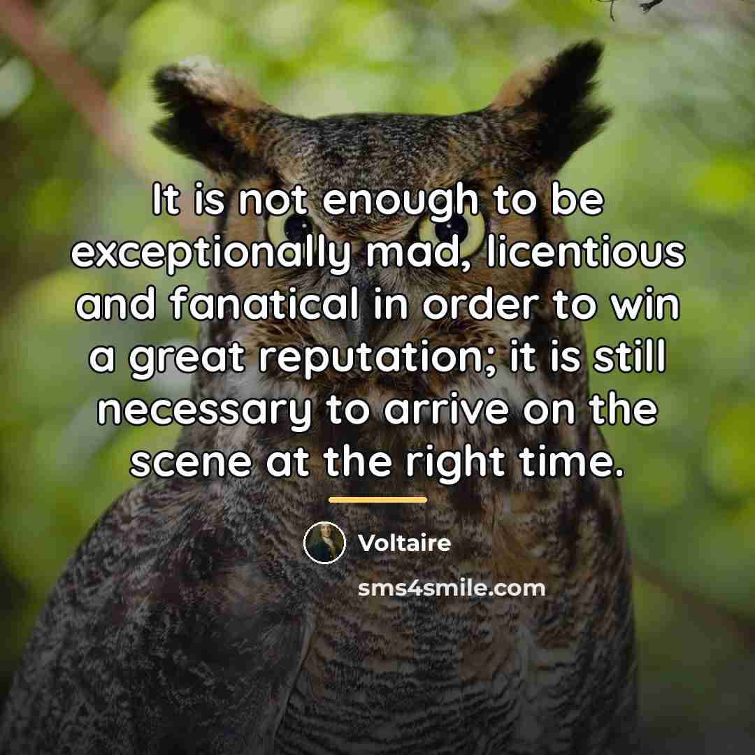 “It is not enough to be exceptionally mad, licentious and…” quote by Voltaire