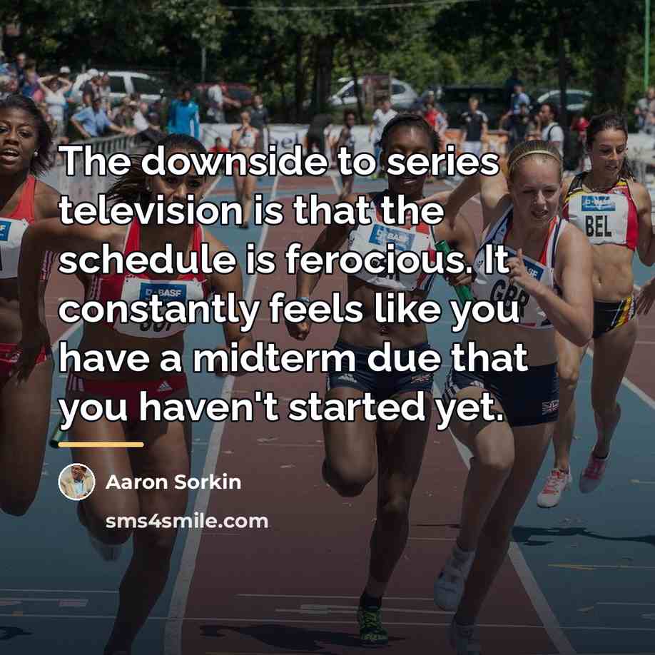 “The downside to series television is that the schedule is…” quote by Aaron Sorkin