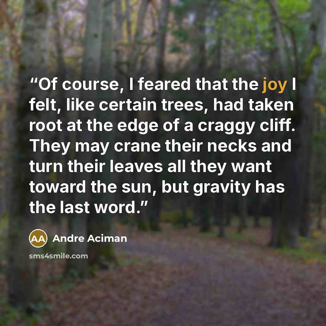 “Of course, I feared that the joy I felt, like certain trees, had taken root at the edge of a craggy cliff. They may crane their necks and turn their leaves all they want toward the sun, but gravity has the last word.” quote by André Aciman