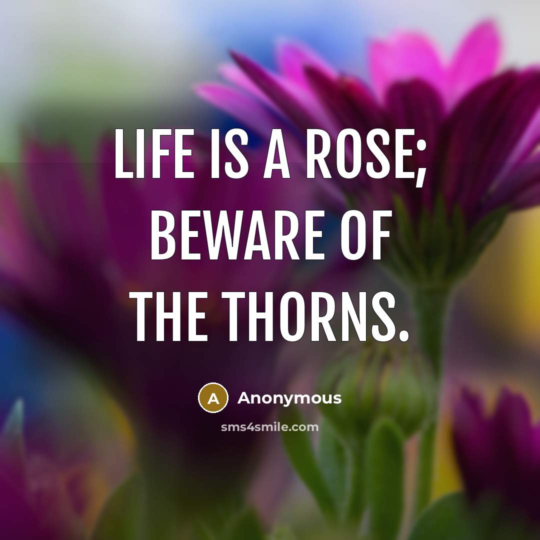 “Life is a rose; beware of the thorns.…” quote by Anonymous