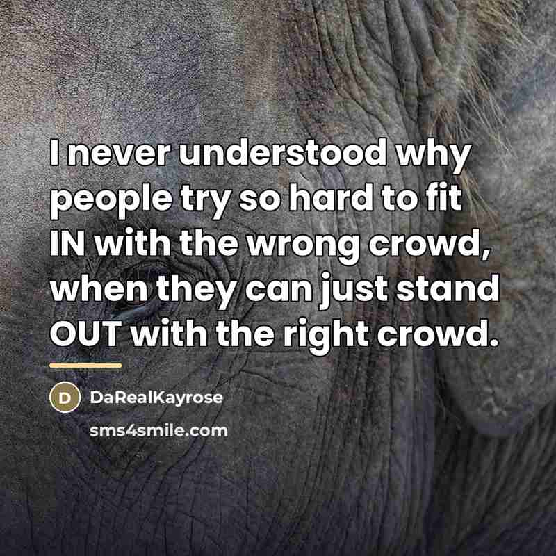 “I never understood why people try so hard to fit…” quote by DaRealKayrose