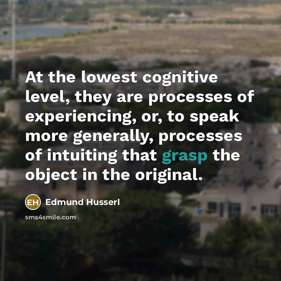 “At the lowest cognitive level, they are processes of experiencing,…” quote by Edmund Husserl