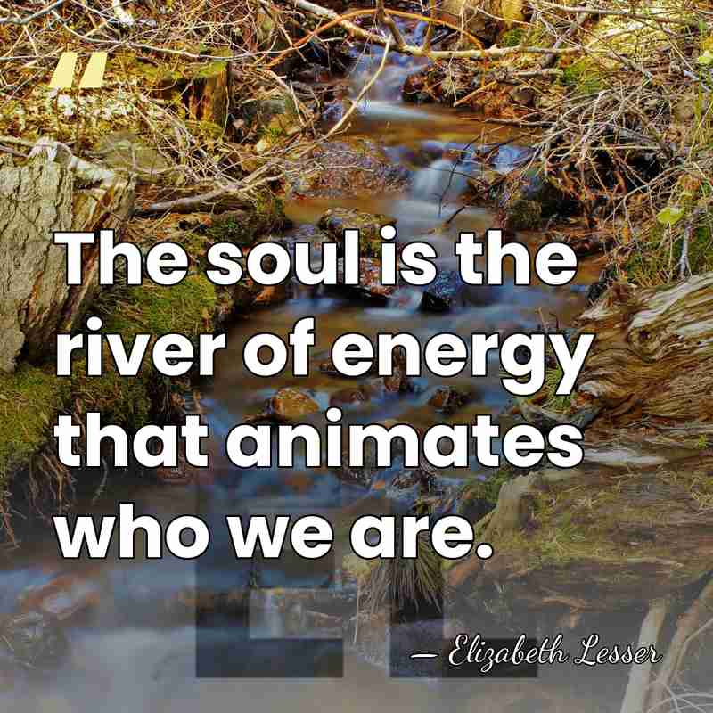 The soul is the river of energy that animates who we are. - Elizabeth Lesser