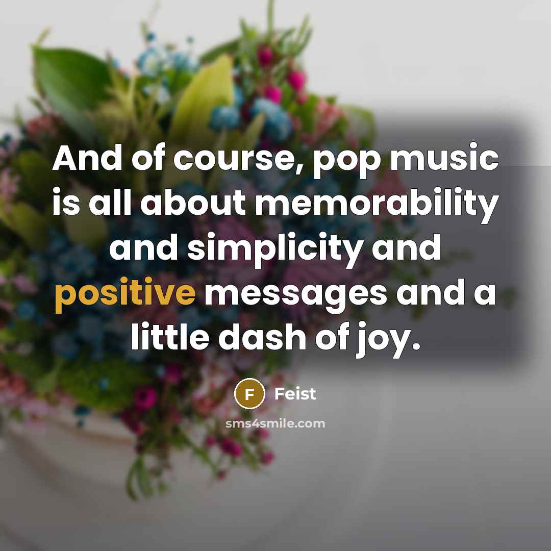“And of course, pop music is all about memorability and…” quote by Feist
