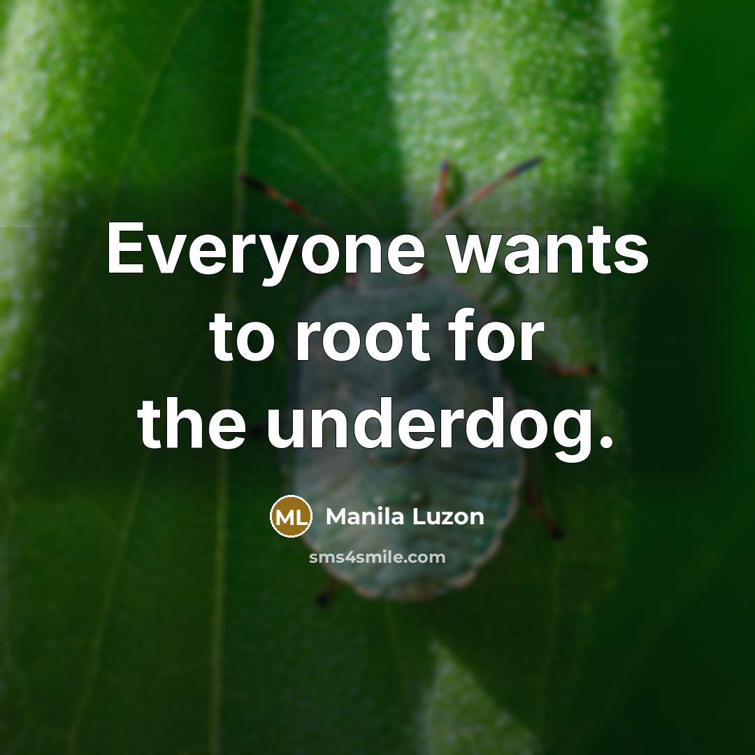 “Everyone wants to root for the underdog.…” quote by Manila Luzon