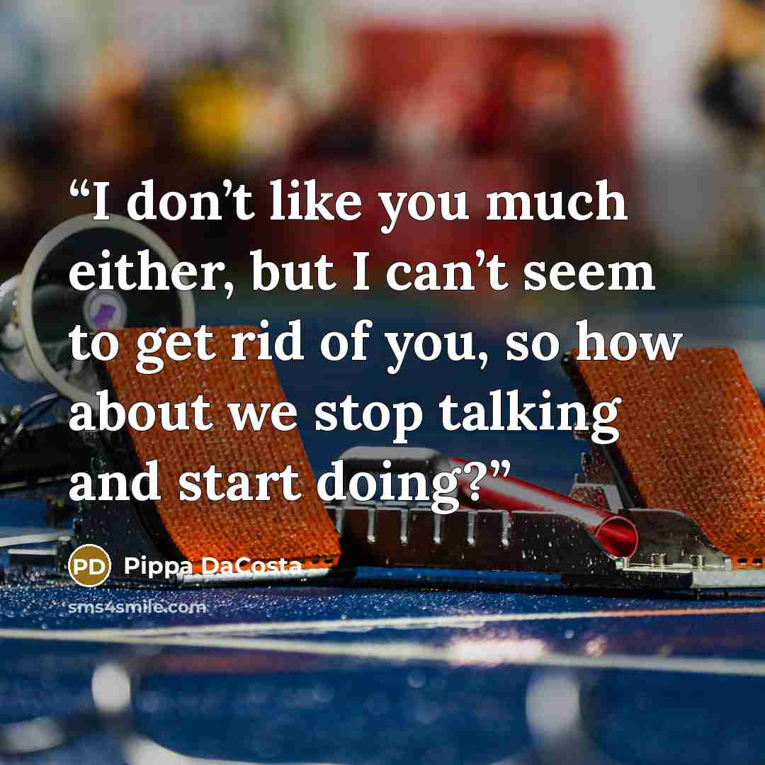 “I don’t like you much either, but I can’t seem to get rid of you, so how about we stop talking and start doing?” quote by Pippa DaCosta