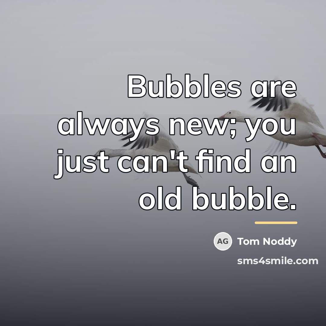“Bubbles are always new; you just can't find an old…” quote by Tom Noddy