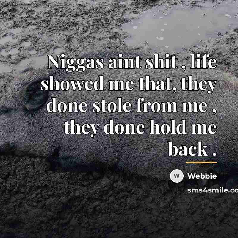 “Niggas aint shit , life showed me that, they done…” quote by Webbie