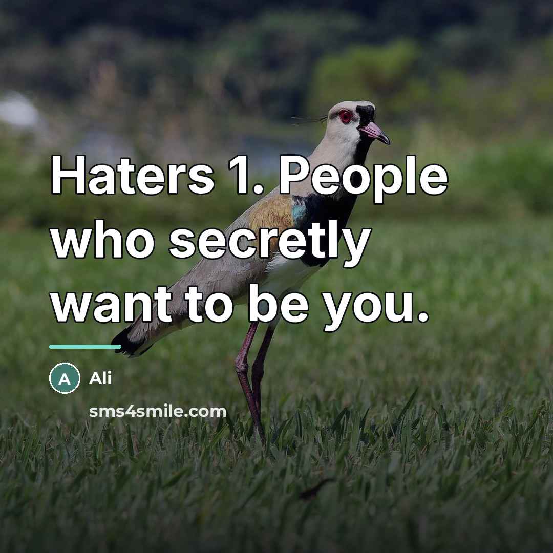 “Haters 1. People who secretly want to be you.…” quote by Ali
