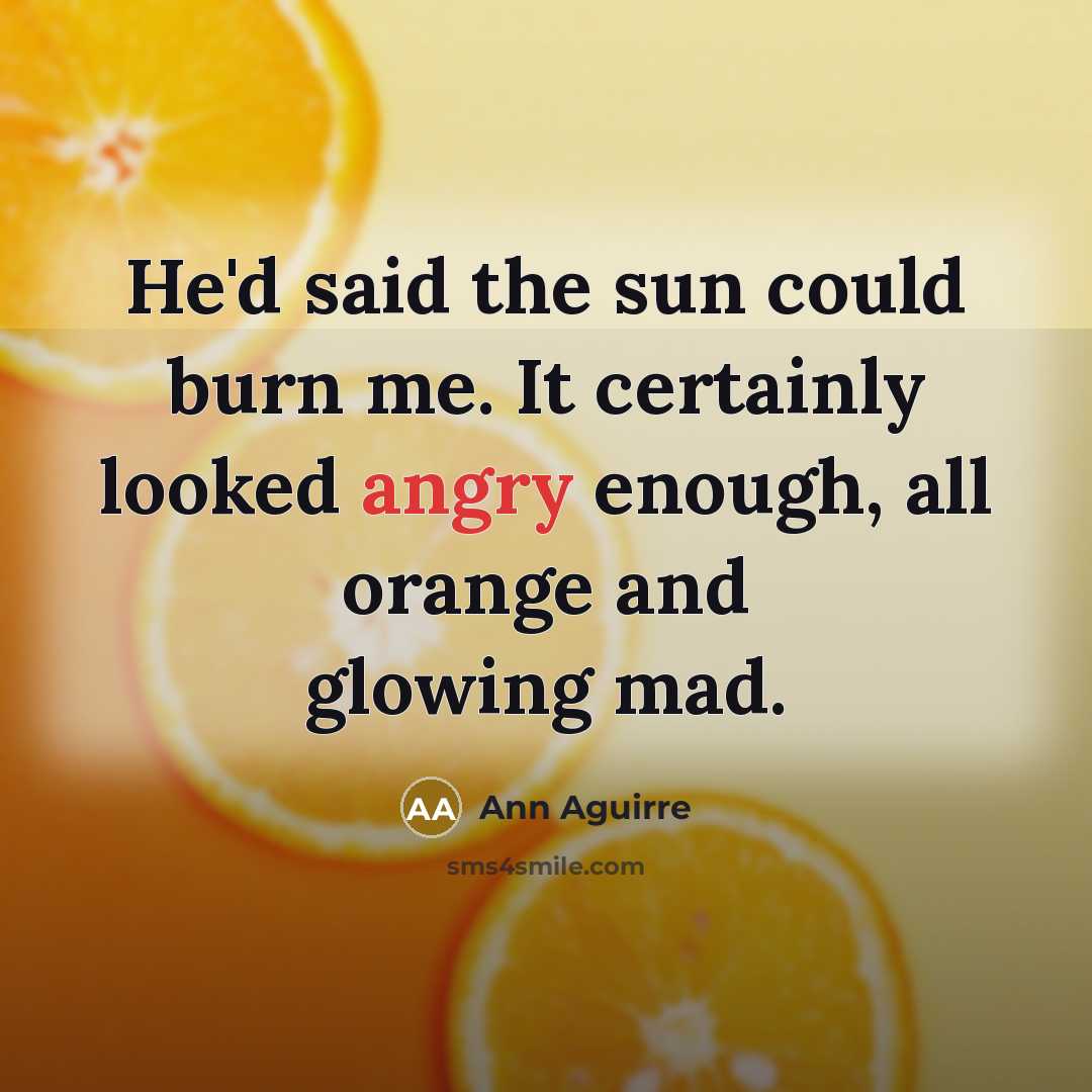 “He'd said the sun could burn me. It certainly looked…” quote by Ann Aguirre