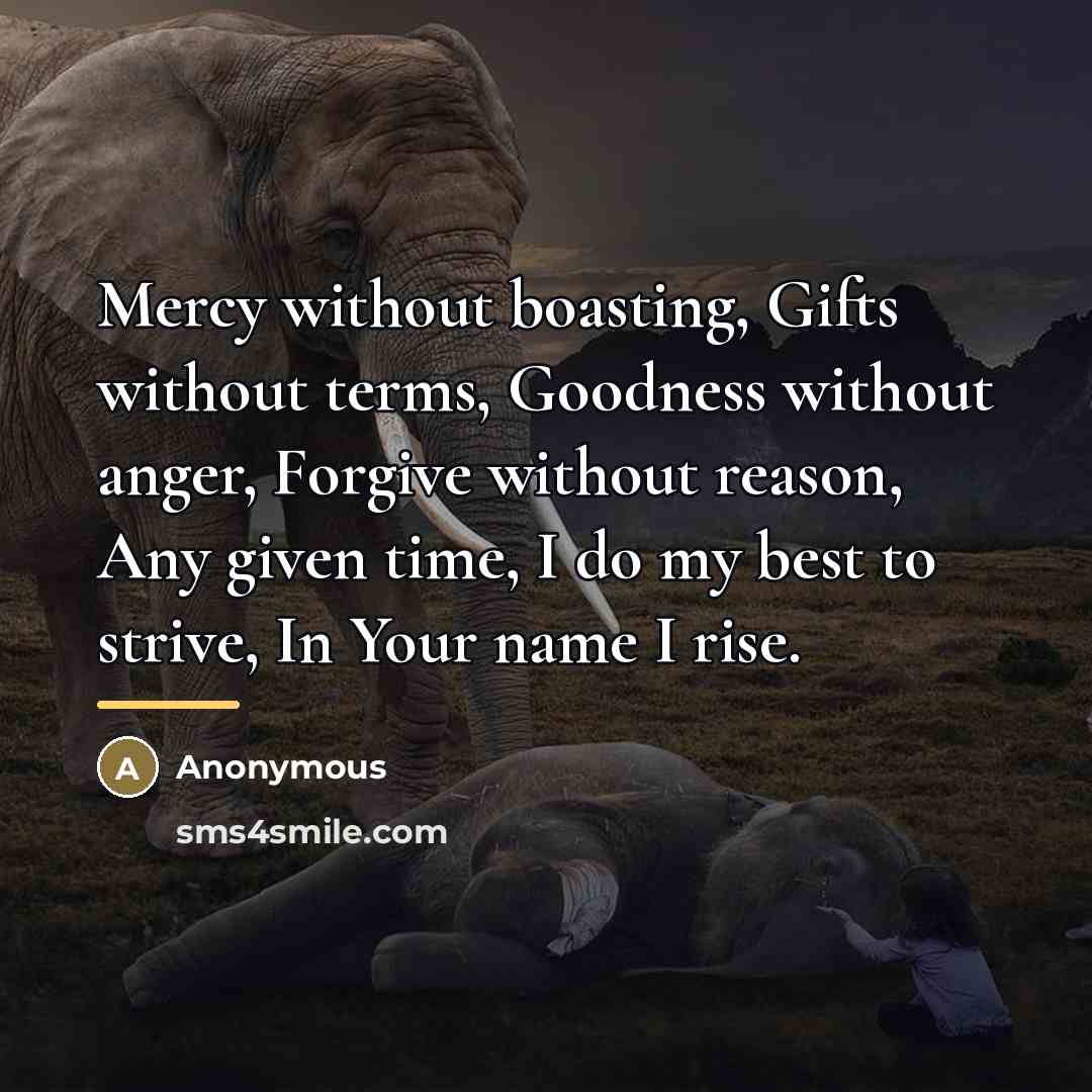 “Mercy without boasting, Gifts without terms, Goodness without anger, Forgive…” quote by Anonymous