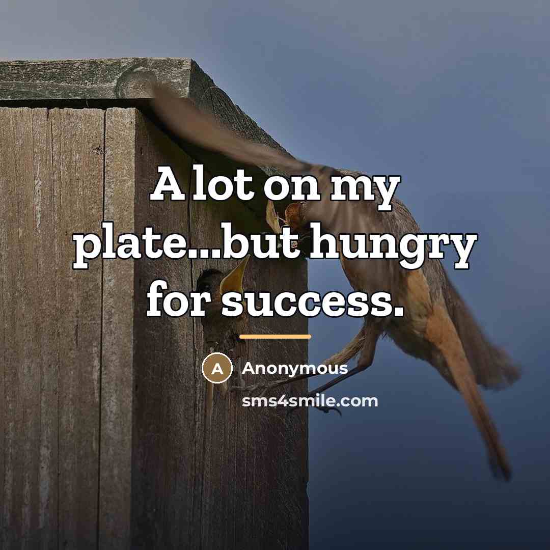 “A lot on my plate...but hungry for success.…” quote by Anonymous
