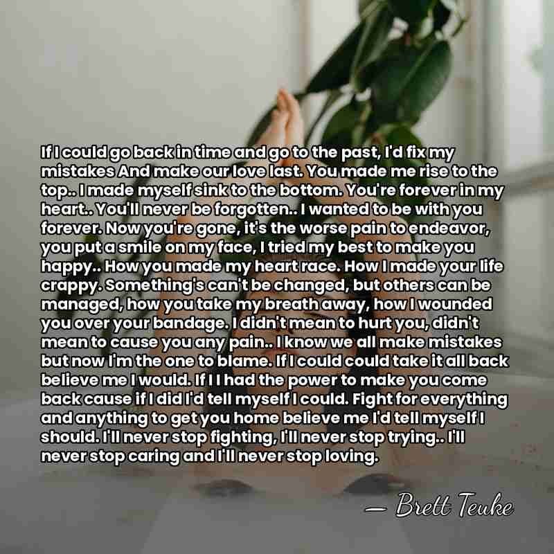 If I could go back in time and go to the past,&hellip; - Brett Teuke