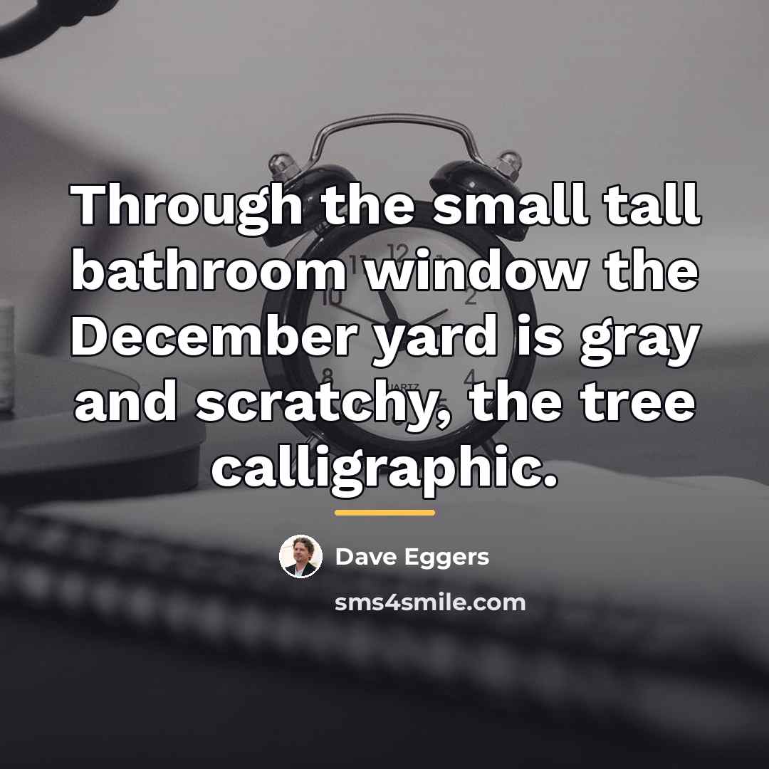 “Through the small tall bathroom window the December yard is…” quote by Dave Eggers