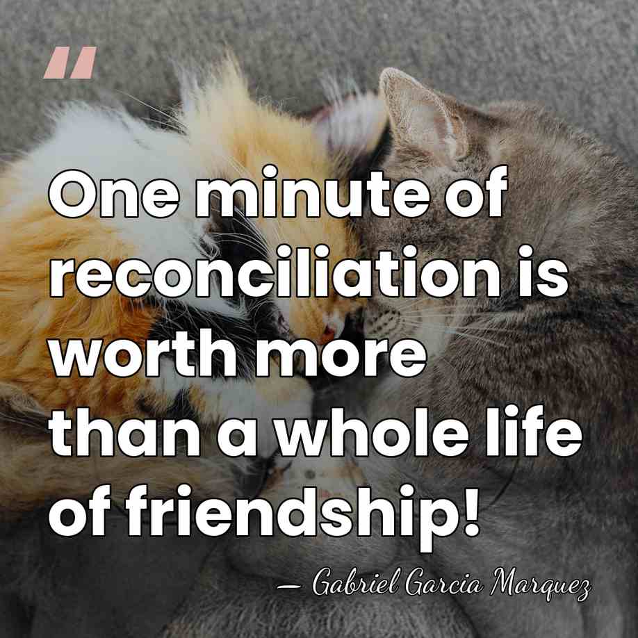 One minute of reconciliation is worth more than a whole life of&hellip; - Gabriel Garcia Marquez
