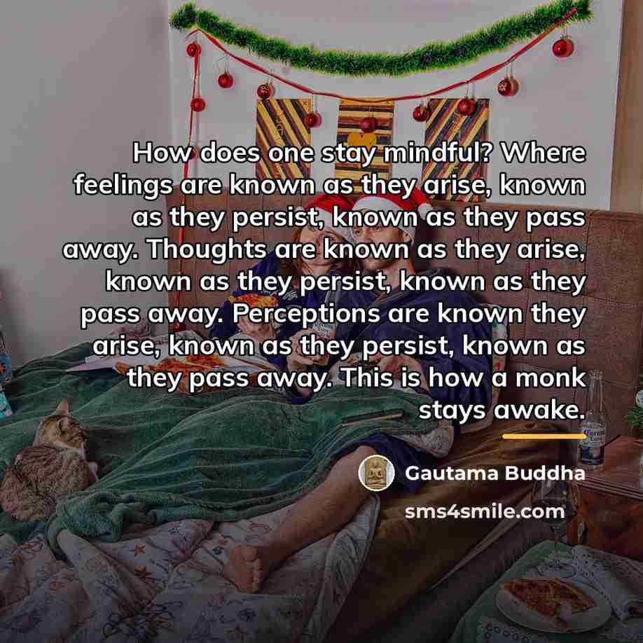 “How does one stay mindful? Where feelings are known as…” quote by Gautama Buddha