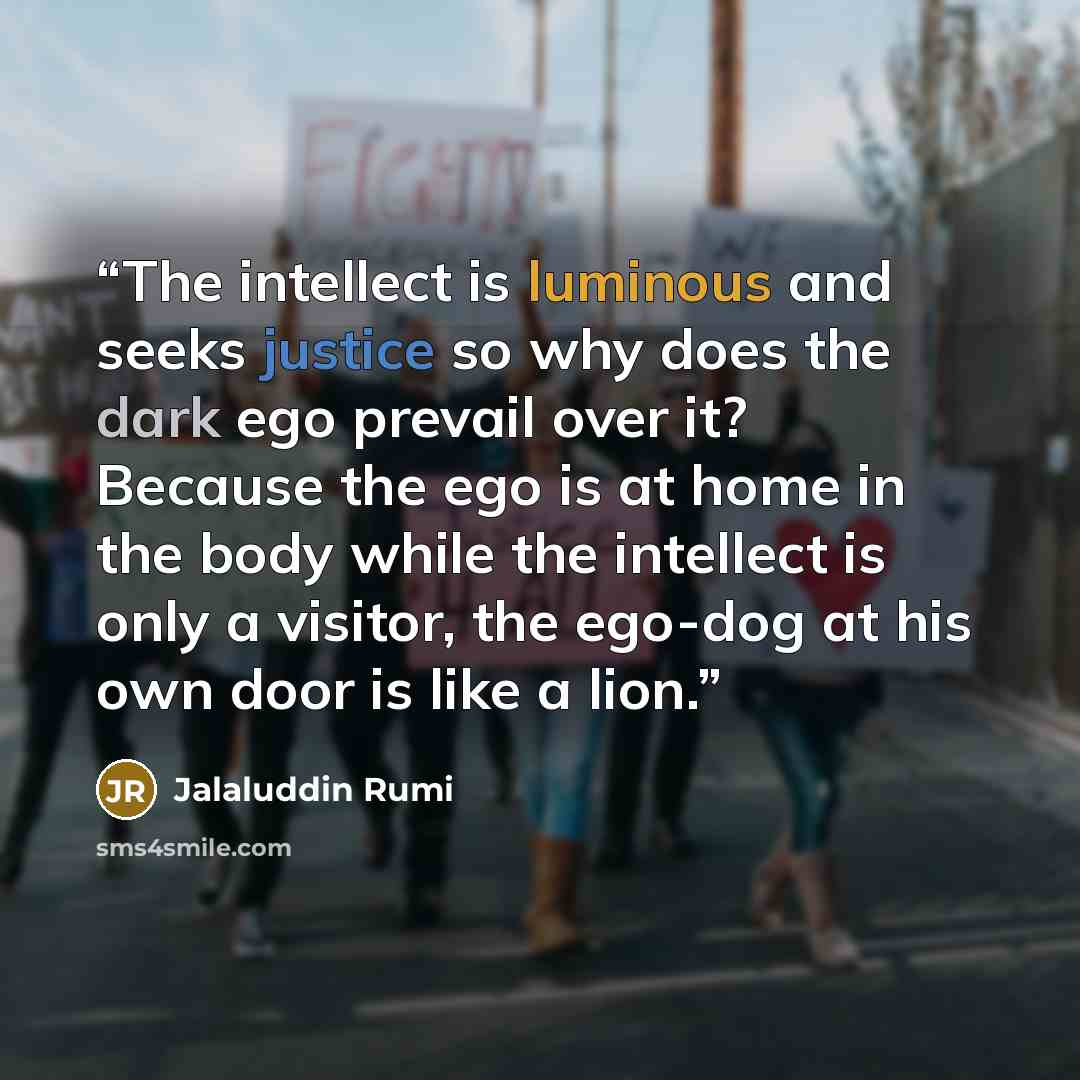 “The intellect is luminous and seeks justice so why does the dark ego prevail over it? Because the ego is at home in the body while the intellect is only a visitor, the ego-dog at his own door is like a lion.” quote by Jalaluddin Rumi