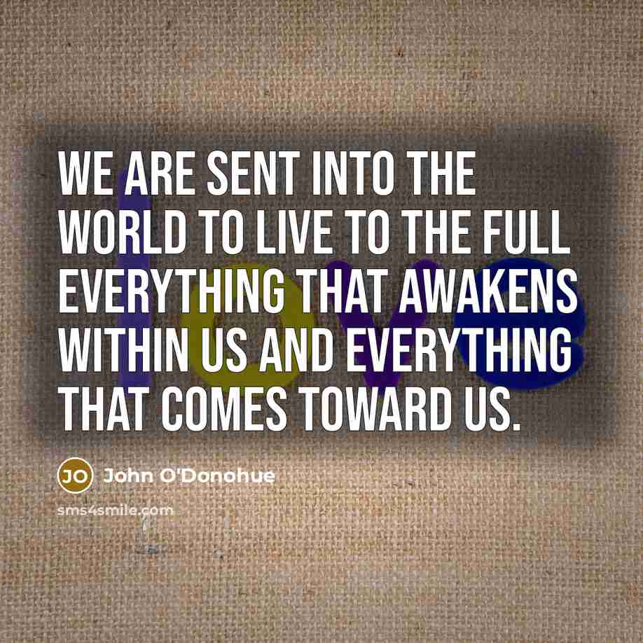 “We are sent into the world to live to the…” quote by John O'Donohue