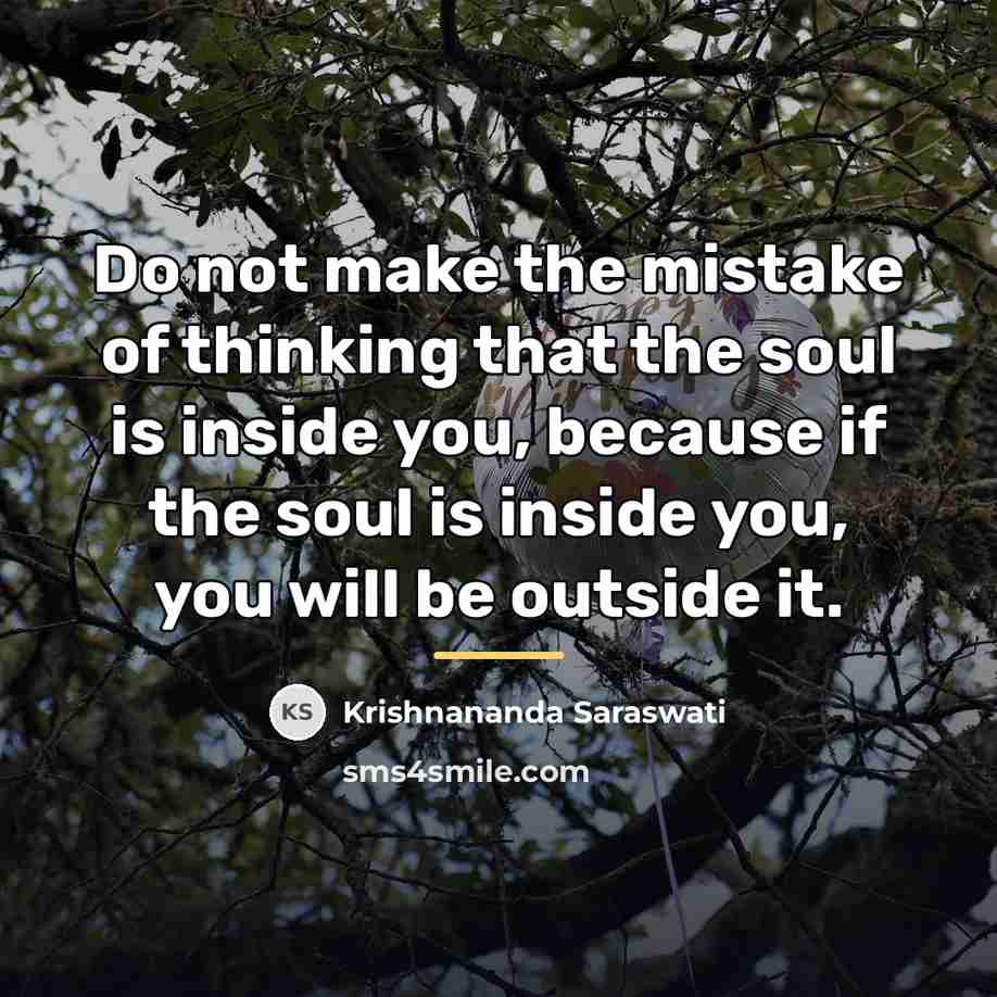 “Do not make the mistake of thinking that the soul…” quote by Krishnananda Saraswati