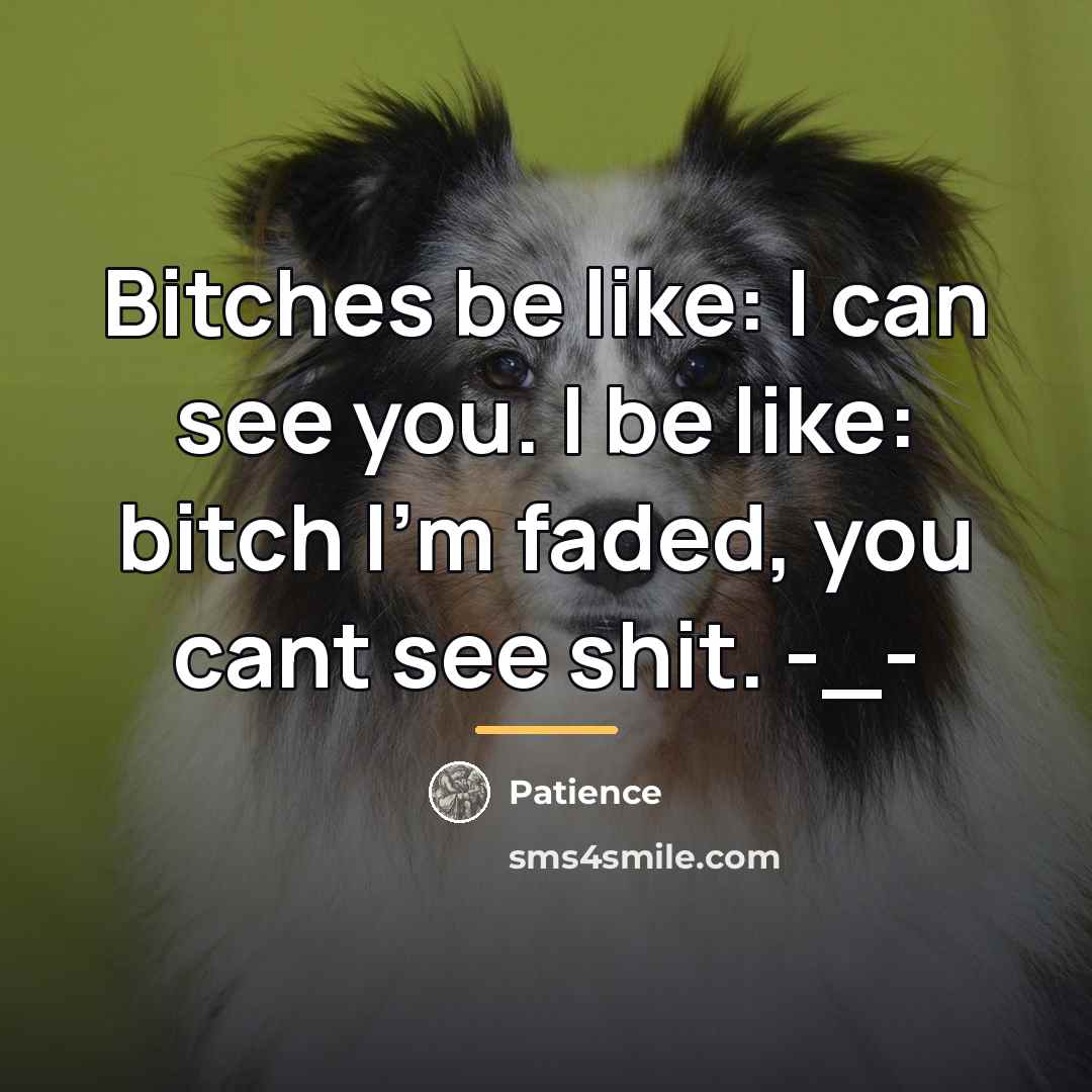 “Bitches be like: I can see you. I be like:…” quote by Patience
