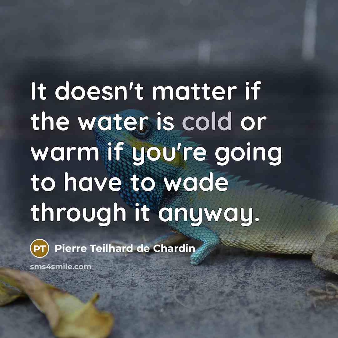 “It doesn't matter if the water is cold or warm…” quote by Pierre Teilhard de Chardin