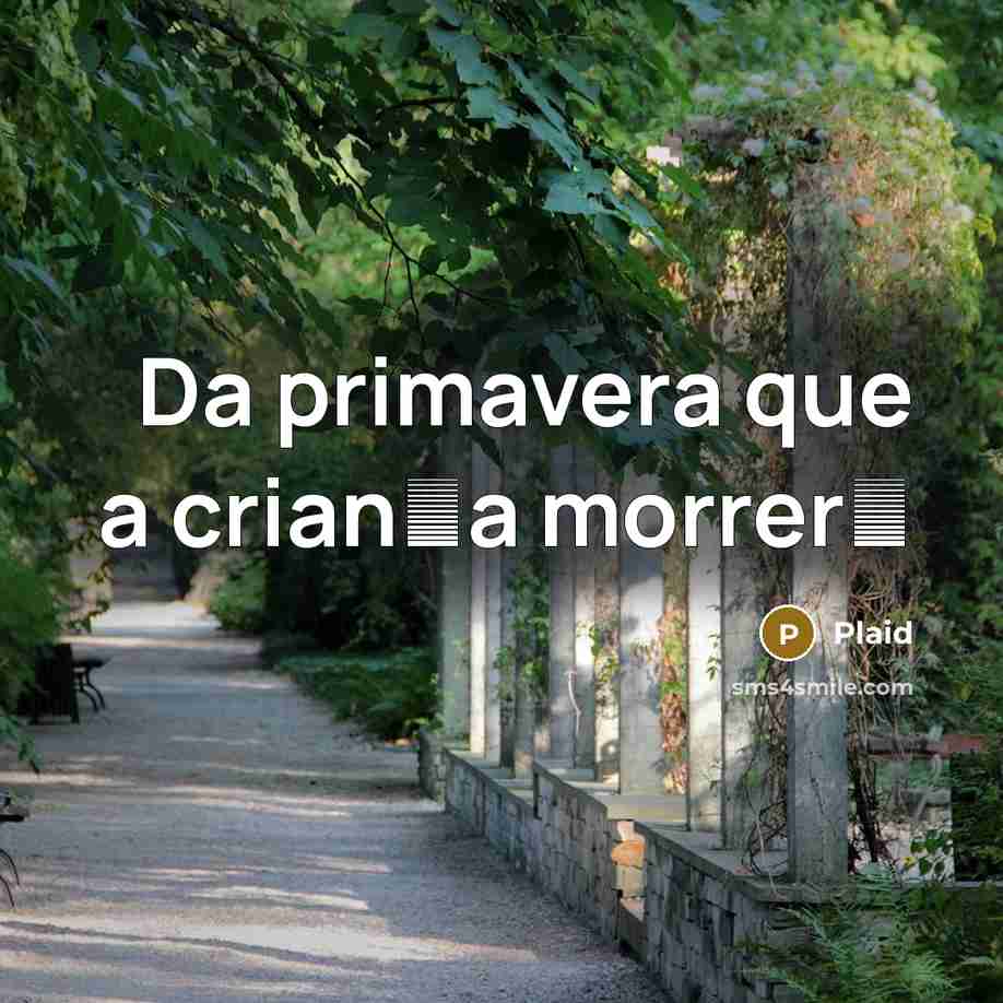 “Da primavera que a crian�a morrer�” quote by Plaid