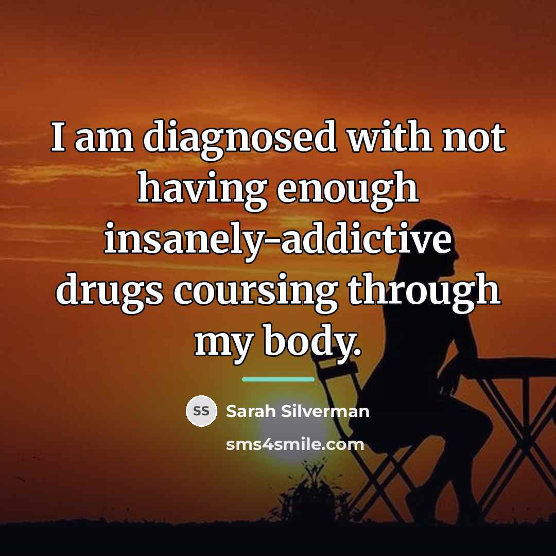“I am diagnosed with not having enough insanely-addictive drugs coursing…” quote by Sarah Silverman