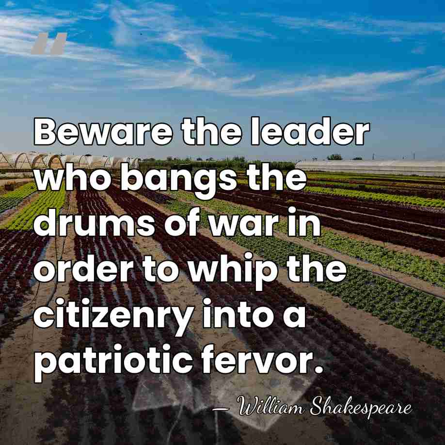 Beware the leader who bangs the drums of war in order to&hellip; - William Shakespeare