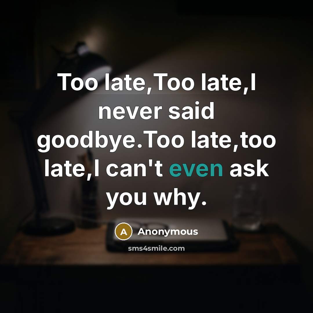 “Too late,Too late,I never said goodbye.Too late,too late,I can't even ask you why.” quote by Anonymous