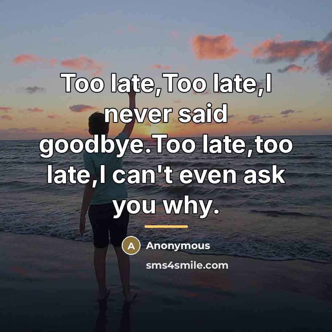 “Too late,Too late,I never said goodbye.Too late,too late,I can't even…” quote by Anonymous