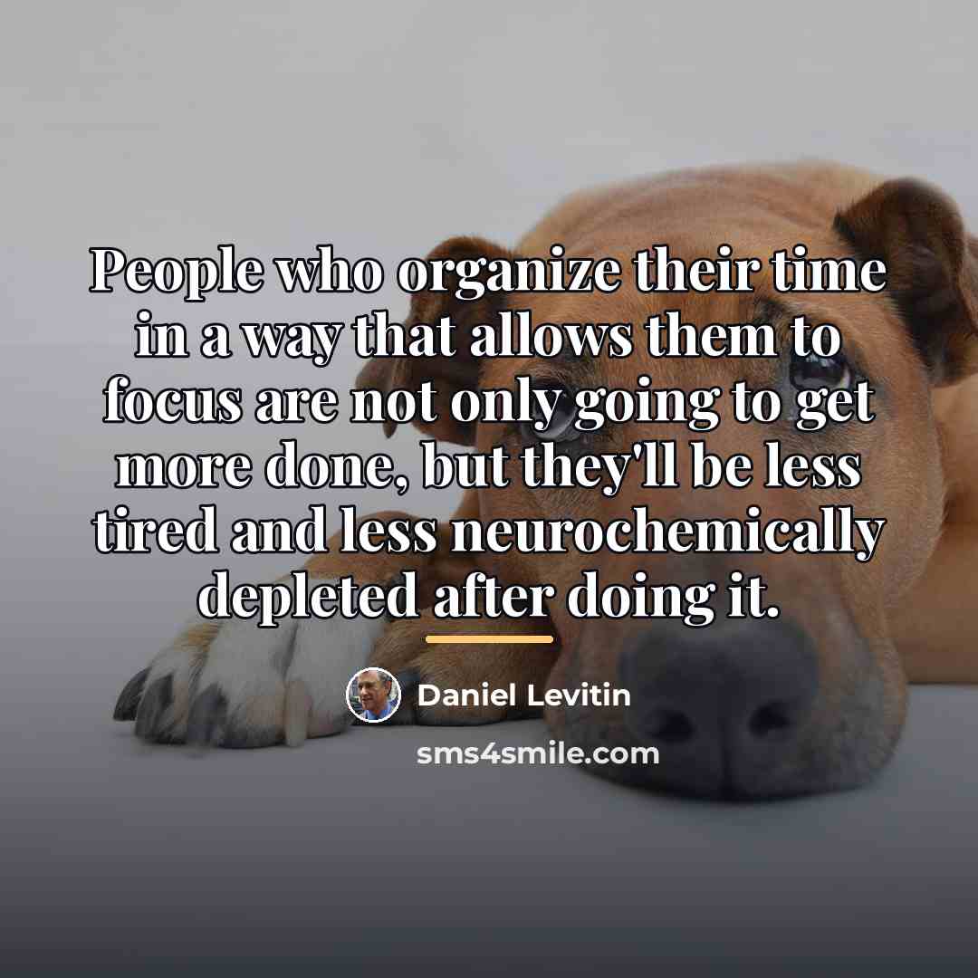 “People who organize their time in a way that allows…” quote by Daniel Levitin