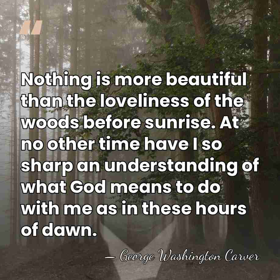 Nothing is more beautiful than the loveliness of the woods before sunrise.&hellip; - George Washington Carver