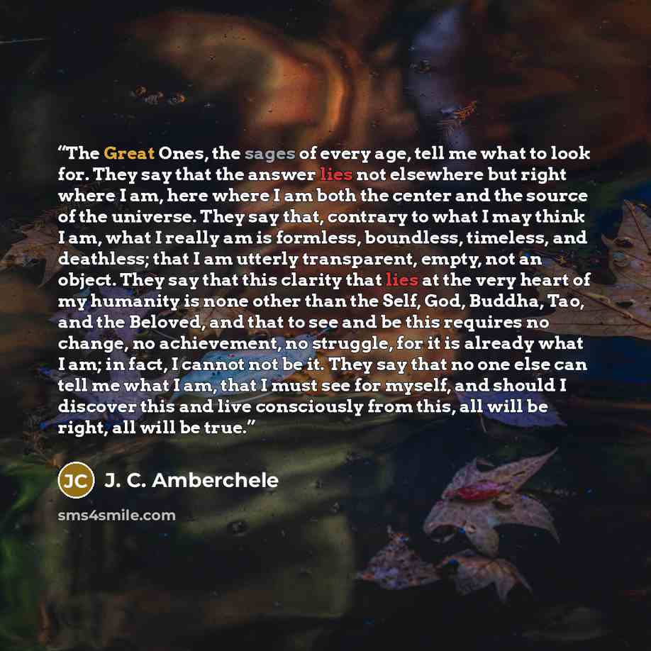 “The Great Ones, the sages of every age, tell me what to look for. They say that the answer lies not elsewhere but right where I am, here where I am both the center and the source of the universe. They say that, contrary to what I may think I am, what I really am is formless, boundless, timeless…” quote by J. C. Amberchele
