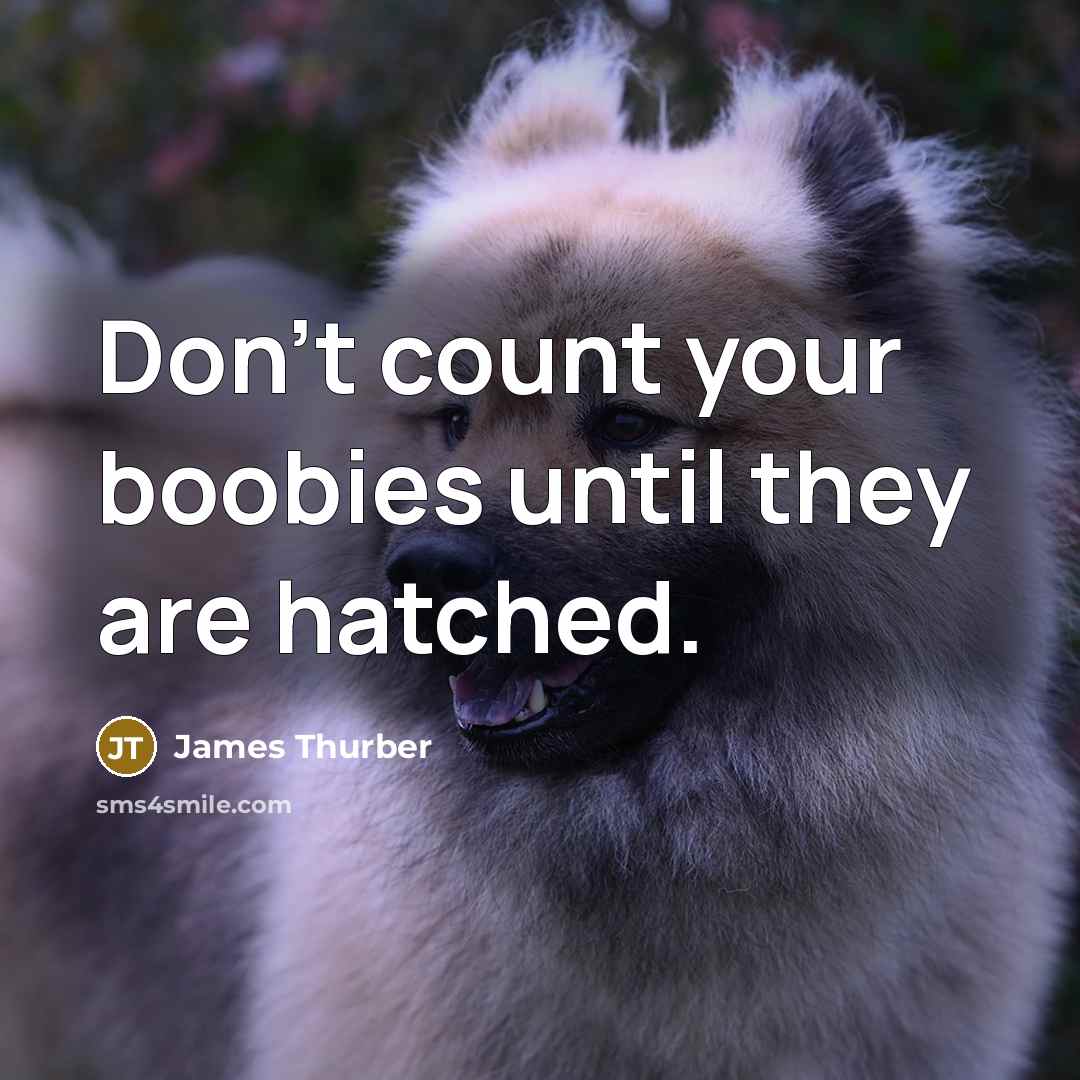 “Don't count your boobies until they are hatched.…” quote by James Thurber