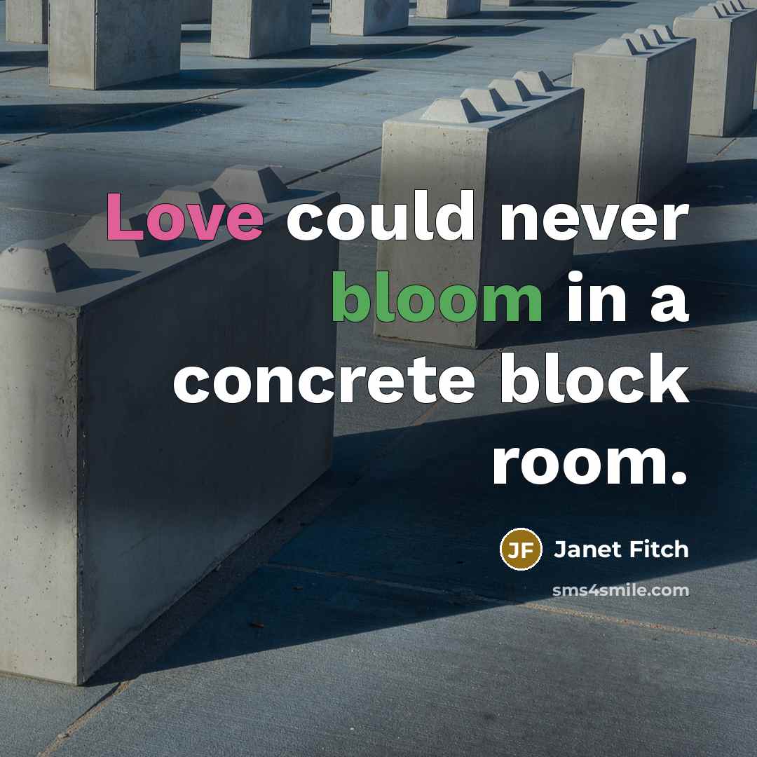 “Love could never bloom in a concrete block room.…” quote by Janet Fitch