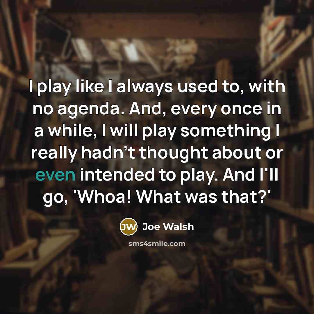“I play like I always used to, with no agenda.…” quote by Joe Walsh
