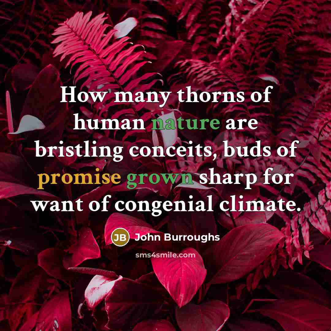 “How many thorns of human nature are bristling conceits, buds…” quote by John Burroughs