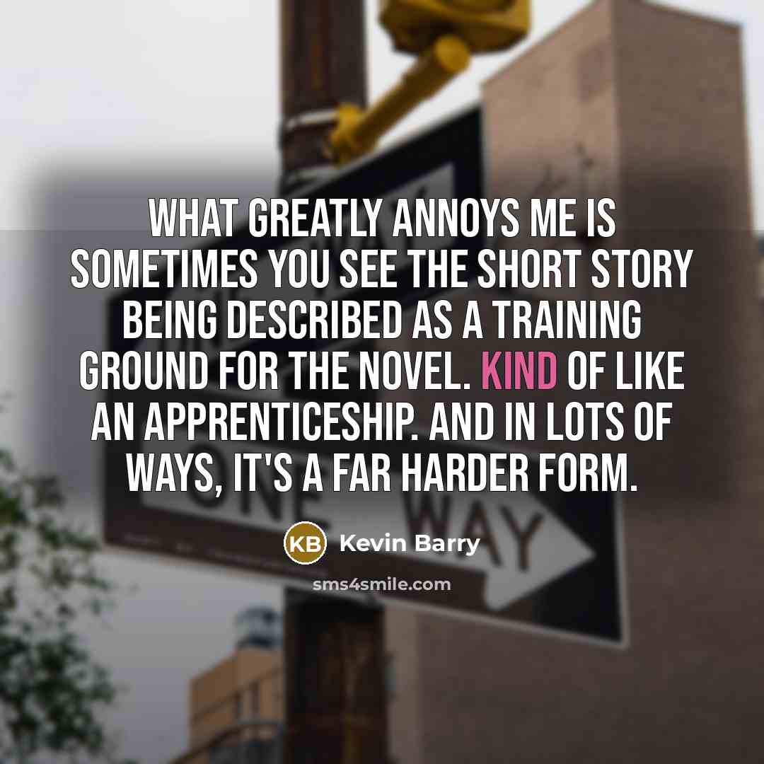 “What greatly annoys me is sometimes you see the short…” quote by Kevin Barry