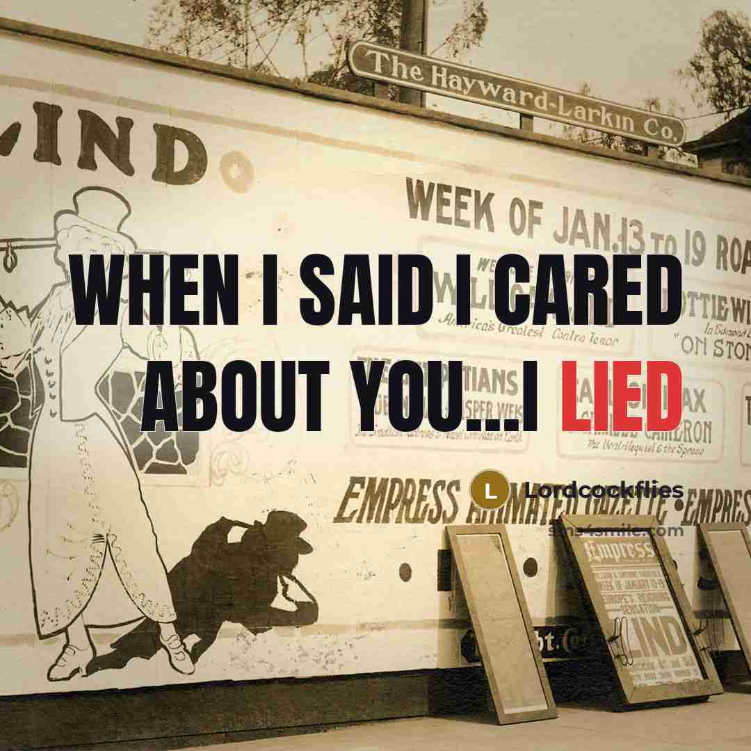 “When I said I cared about you...i lied” quote by Lordcockflies