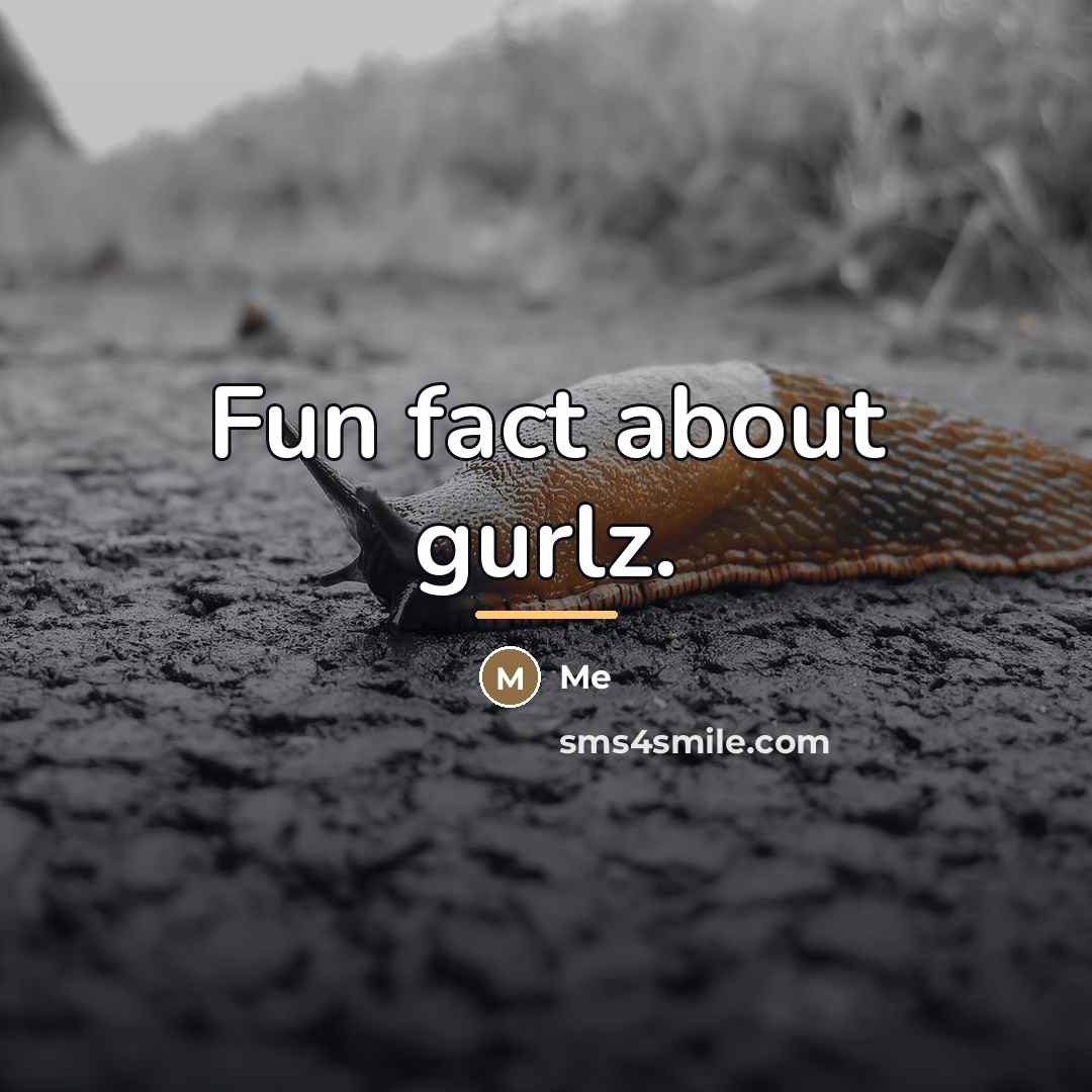 “Fun fact about gurlz.…” quote by Me