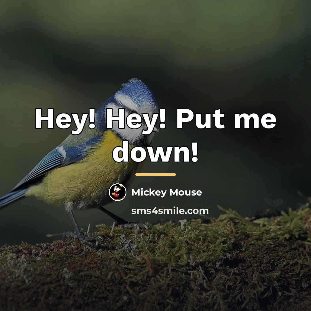 “Hey! Hey! Put me down!…” quote by Mickey Mouse