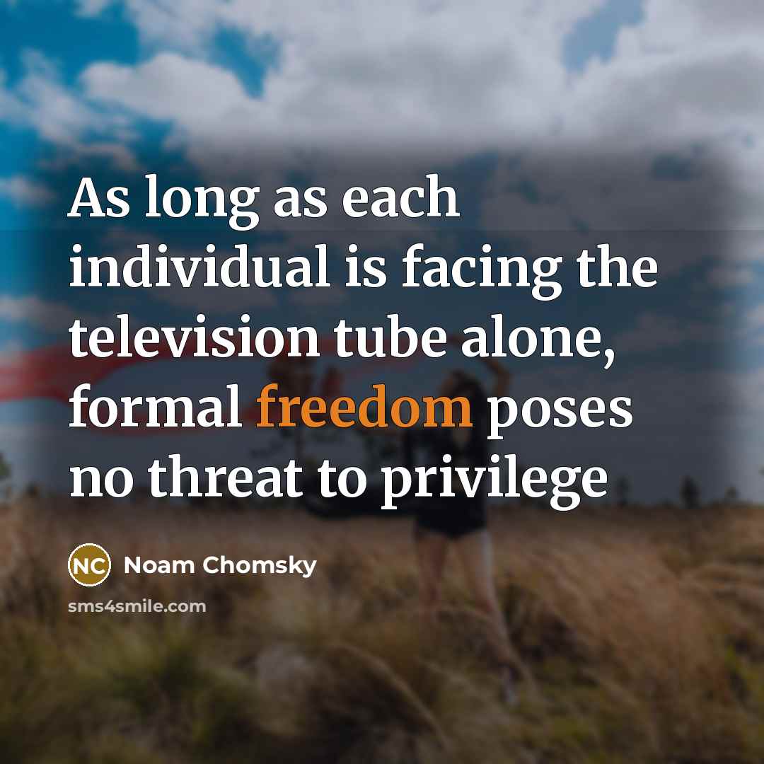 “As long as each individual is facing the television tube…” quote by Noam Chomsky