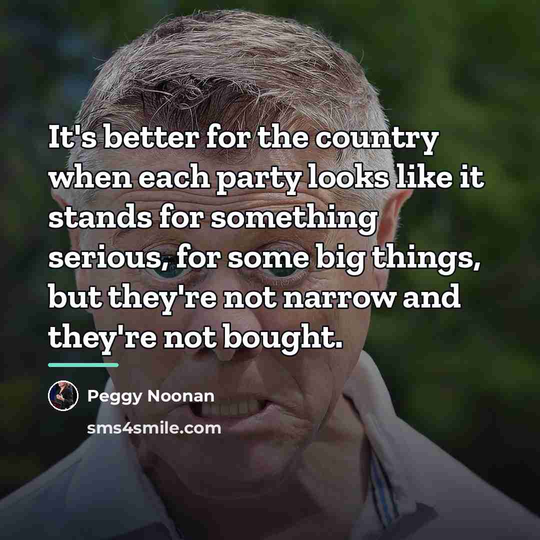 “It's better for the country when each party looks like…” quote by Peggy Noonan