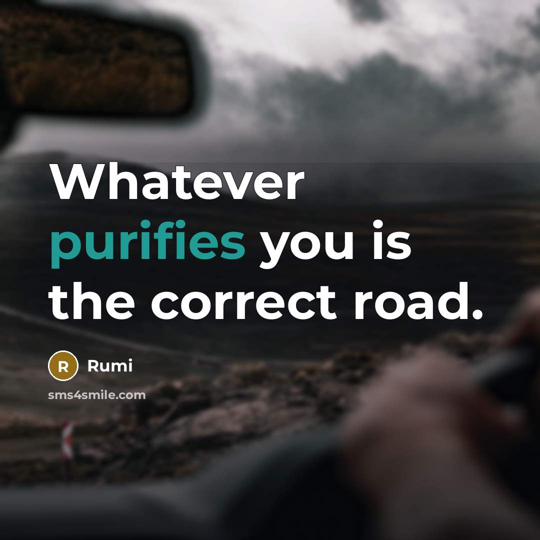 “Whatever purifies you is the correct road.” quote by Rumi