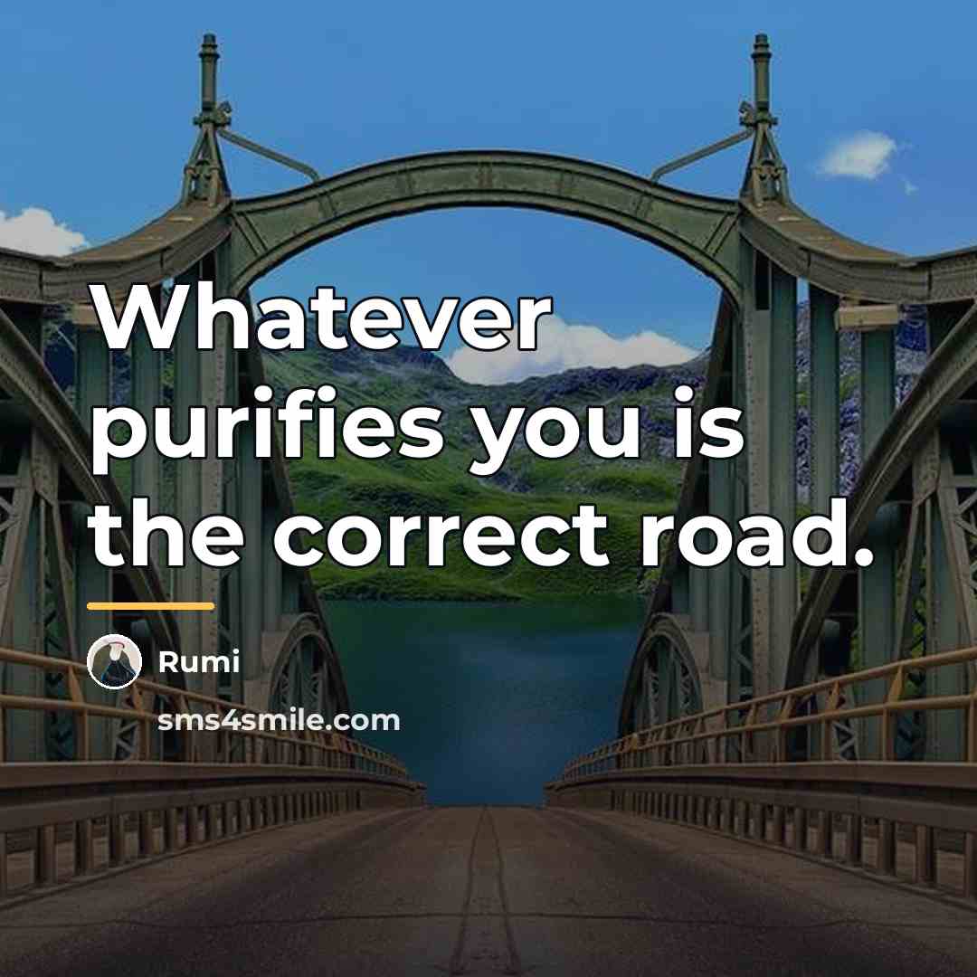 “Whatever purifies you is the correct road.…” quote by Rumi