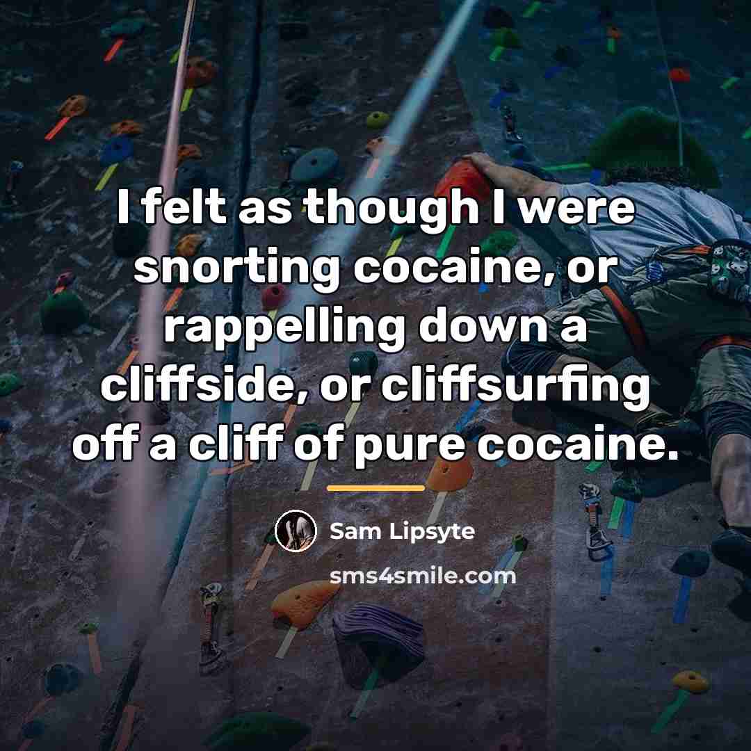 “I felt as though I were snorting cocaine, or rappelling…” quote by Sam Lipsyte