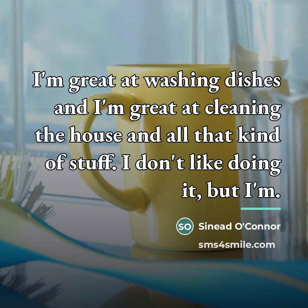 “I'm great at washing dishes and I'm great at cleaning…” quote by Sinead O'Connor